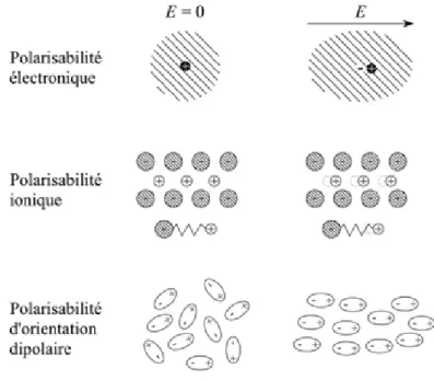 Figure 1.6. Représentation schématique des mécanismes de polarisation. De haut en bas : polarisations 