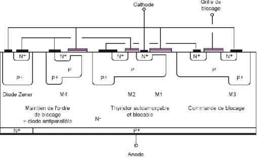 Figure 1. 6 : Coupe de principe d’une solution d’intégration du thyristor dual 