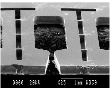 Figure 42. Photo MEB d'un micropropulseur silicium sans membrane: test de gravure DRIE 