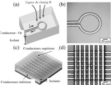 Figure 1.39 (a) Représentation schématique de la bobine coplanaire à un tour sur laquelle I représente le sens de circulation du  courant électrique et B les lignes de champs magnétiques