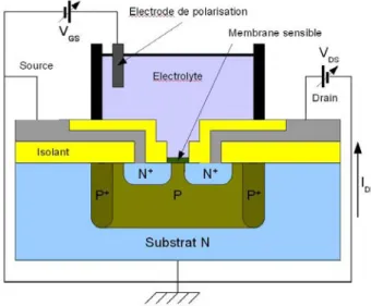 Figure 1.2: Description de la structure du ISFET L’équation de la tension de seuil devient alors 1.3 :