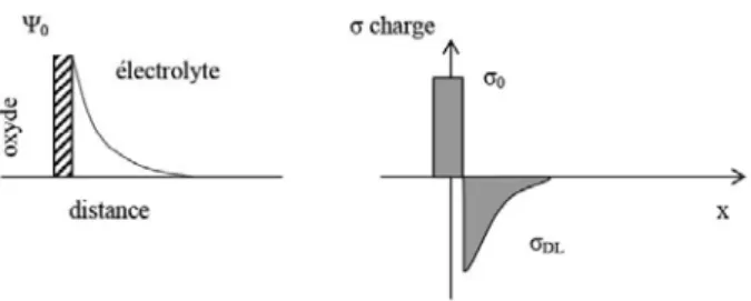 Figure 1.3: Redistribution du potentiel et de la charge à l’interface oxyde/électrolyte