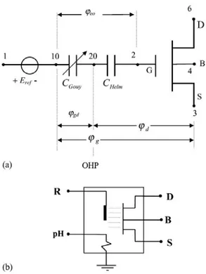 Figure 1.7: (a) Circuit électrique équivalent de l’ISFET. (b) Bloc de l’ISFET sous HSPICE avec ses connections drain, source, substrat, électrode de ref (R), pH de la solution considérée