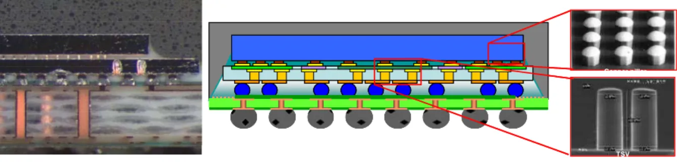 Figure  1.29.  Schéma  de  principe  et  images  MEB  du  démonstrateur  de  décodeur numérique [Bonnot09]