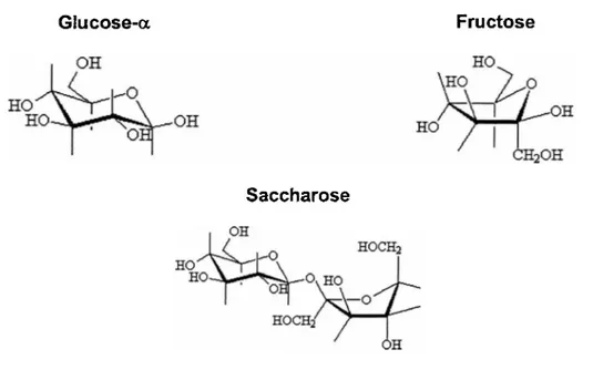 Graphique 1 : Structure chimique des principaux glucides simples 