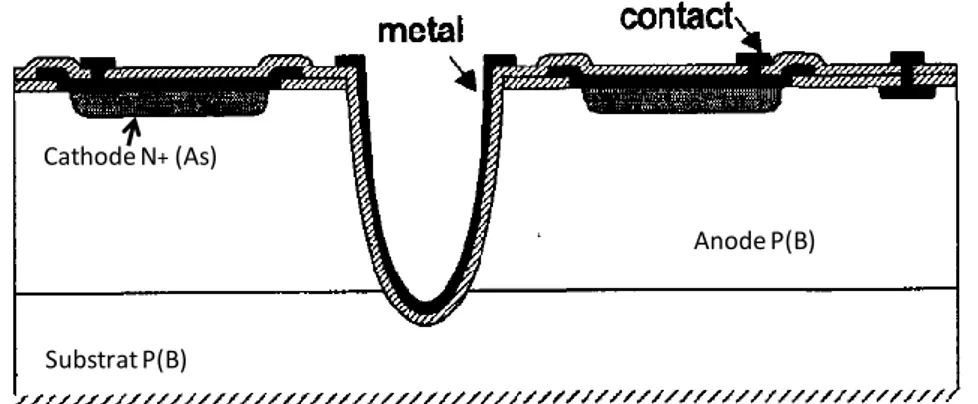 Figure 3-6 : la structure de Kindt, la première réalisation technologique en Geiger. 