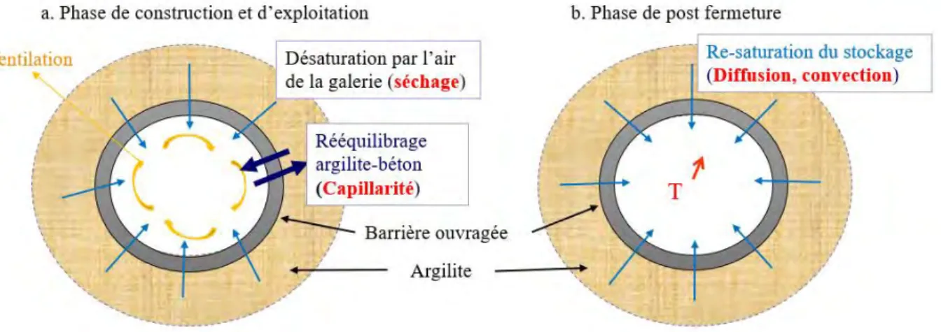 Figure 2 : Représentation du processus de désaturation/re-saturation dans les tunnels de stockage des  déchets MA-VL en couche profonde 