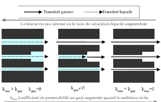 Figure I-21 : Représentation schématique de l’influence du taux de saturation sur les transferts gazeux et  liquide (Verdier, 2001) 