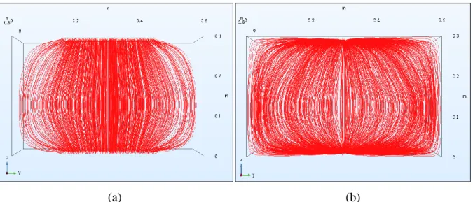 Figure 4-11 Visualisation de lignes de courant dans le volume de la dalle :(a) injection du  courant entre deux plaques de dimension L = 30 cm, (b) injection du courant entre deux 
