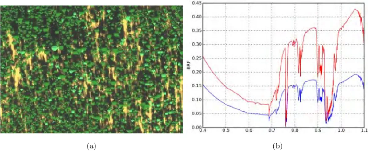 Figure 4.1: DART simulation of Chris sensor. Howland forest, USA. a) Image. b) TOA VIS-NIR spectra.