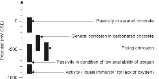 Figure 21 – Intervalle typique de potentiels pour l’acier dans le béton [Bertolini, 2004] 