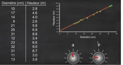 Figure 8 : Corrélation entre la taille d’un arbre et le diamètre de son tronc [72]  