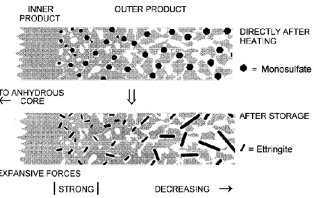 Figure 1-4. Mécanisme d’expansion par conversion du monosulfoaluminate dans les CSH externes  (Taylor et al., 2001)