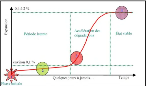 Figure 1-7. Mécanisme combiné de gonflement homogène de la pâte et de l’interface pâte - -granulats (Brunetaud, 2005)