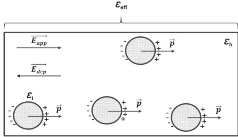 Figure 3.2 – Moments dipolaires et champ de dépolarisation induits par application d’un champ électrique externe sur le système.