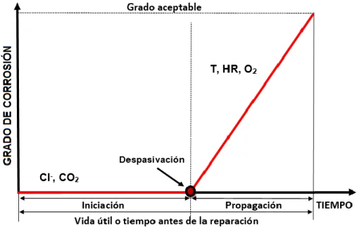 Fig. 2. Modelo de vida útil de Tuutti, para el concreto reforzado (Tuutti, 1982). 