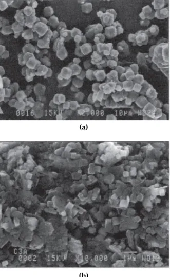 Figure 1.2: SEM of cubic crystals of C 3 AH 6 at magnifications of (a)2000