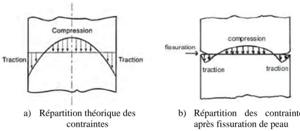 Figure 1 - 14 : Profil des contraintes d’une éprouvette soumise au retrait de dessiccation (Pons,  1998) 