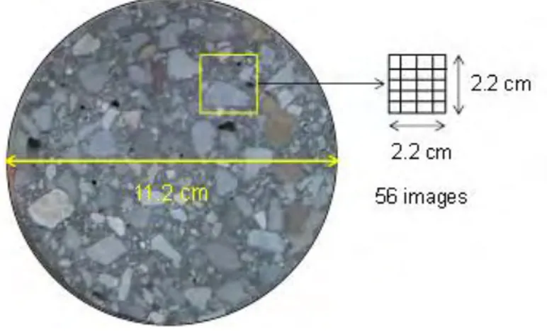 Figure I-30 : Analyse au MEB des échantillons de béton traités thermiquement 
