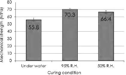 Figure 23. Compressive strengths of GP14.5 mortars at 21 days, cured under water, at 95% R.H., or at 50% 