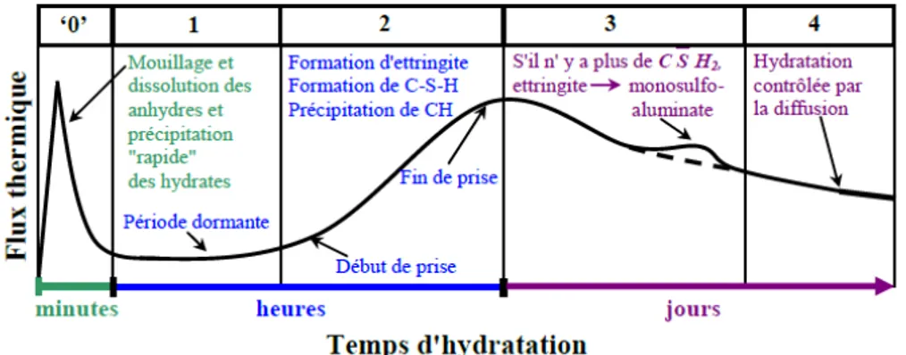 Figure 6: Représentation de l’évolution du flux thermique lors de l’hydratation  du ciment Portland (Bourissai, 2010) (schéma adapté de (Nelson et al., 1990) cité 