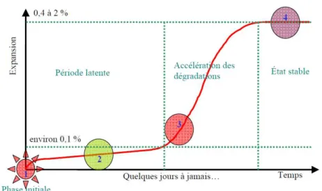 Figure 1.8. Mécanismes d’expansion proposés par Brunetaud [Brunetaud, 2005]  Il décompose l’expansion des mélanges atteints de RSI en quatre phases distinctes