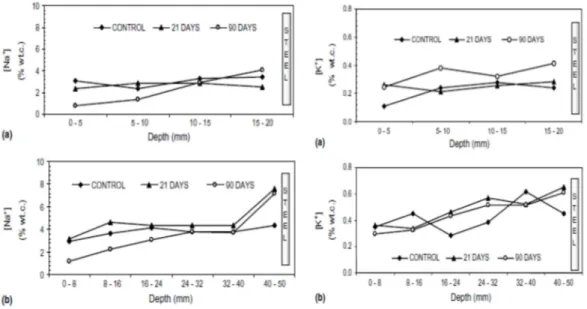 Figure  1.21.  Concentration  des  ions  Na +   et  K +   en  fonction  de  la  profondeur  [Fajardo  et  al.,  2006] 