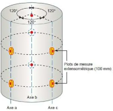 Figure 2.4. Schéma descriptif d’une éprouvette 11cm x 22 cm équipée de 3 séries de plots  collés longitudinalement sur génératrices distantes de 120° [LCPC, 2007]