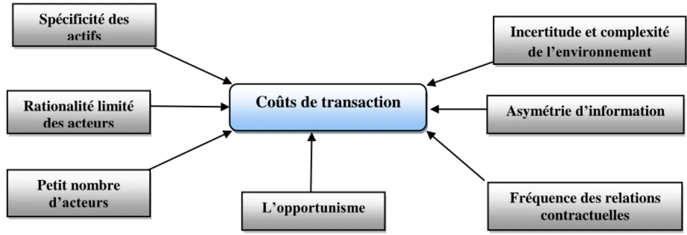 Figure N°05 : Formation des coûts de transaction 