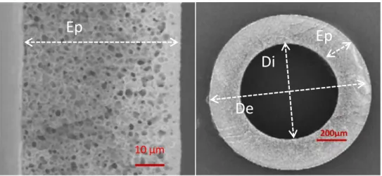 Figure I.1 : Images MEB en coupe d’une membrane plane en PvDF (à gauche, d’après [5]) et d’une fibre creuse en PSu  (à droite, d’après [6])