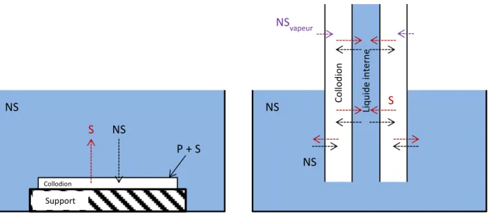 Figure I.7 : Représentation schématique des échanges entre le solvant (S) et le non solvant (NS) lors de la fabrication  d’une membrane plane (à gauche) et d’une fibre creuse (à droite) par le procédé NIPS