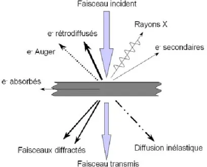 Figure II. 5 : Schématisation des particules et rayonnements mis en jeu dans l’interaction  faisceau d’électron - matière 