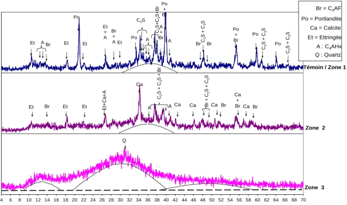 Figure III-4 : Analyses minéralogiques par DRX d’un échantillon de pâte de ciment CEM I  immergé dans l’acide acétique pendant 4 semaines 