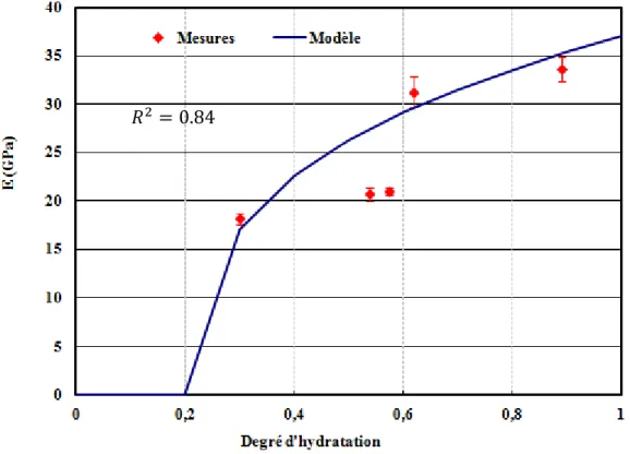 Figure II-12 : Evolution du module de Young en fonction du degré d’hydratation 