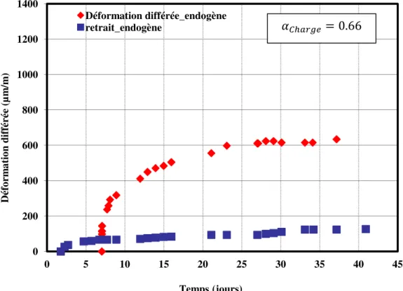 Figure II-14 : Evolution des déformations différées endogènes d’éprouvettes chargées à 7  jours d’âge (avec un chargement de 19.58 MPa) et du retrait endogène 