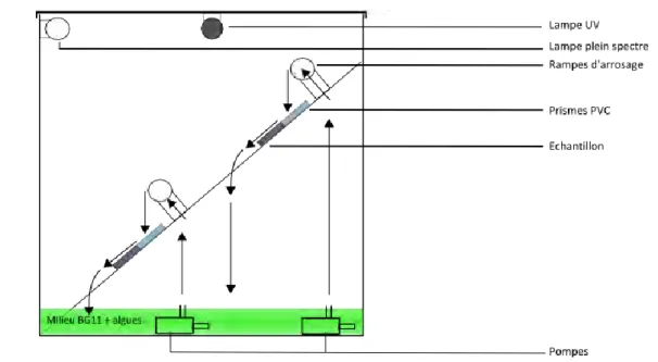 Figure II-8 : Schéma de principe de l’essai de développement accéléré par écoulement d’eau 
