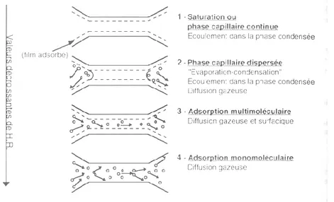 Figure I-15 : Illustration des quatre types de transfert d’humidité possibles dans un pore  cylindrique suivant l’humidité relative de l’air ambiant [Baroghel Bouny, 1994] 