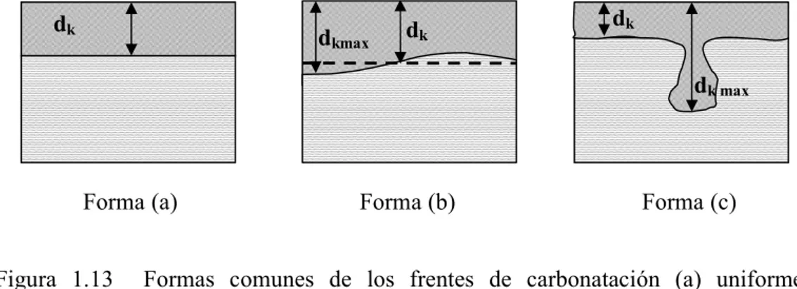Figura  1.13    Formas  comunes  de  los  frentes  de  carbonatación  (a)  uniforme,  (b) irregular y (c) muy irregular