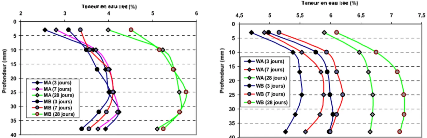 Figure II.31 - Evolution des profils d’hydratation en eau liée sur la couche de mortier 