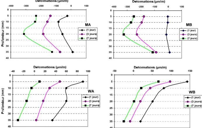 Figure II.46 - Evolution des profils de déformations au jeune âge dans la couche de mortier 