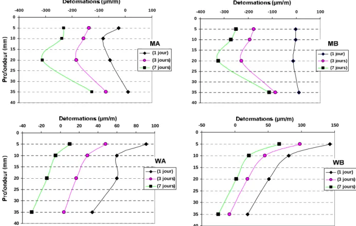 Figure II.46 - Evolution des profils de déformations au jeune âge dans la couche de mortier 