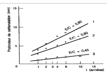 Figure I. 11. Evolution de la profondeur de carbonatation en fonction du temps et du rapport  E/C   (20 °C - 50% HR)