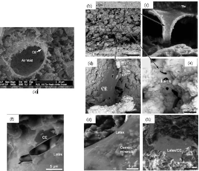 Figure 2.24 : observations au MEB de mortiers modifiés latex et éther de cellulose,   (a) éther de cellulose (EC) à l’interface vide d’air / ciment,  (b) localisation du latex et de EC,  (c) latex créant une liaison entre le mortier et le carreau, (d) film de EC, (e) latex, (f) films purs de latex et  de EC dans un composite mortier-latex-EC, (g) particules de ciment sur un film de latex, (h) co-polymère 