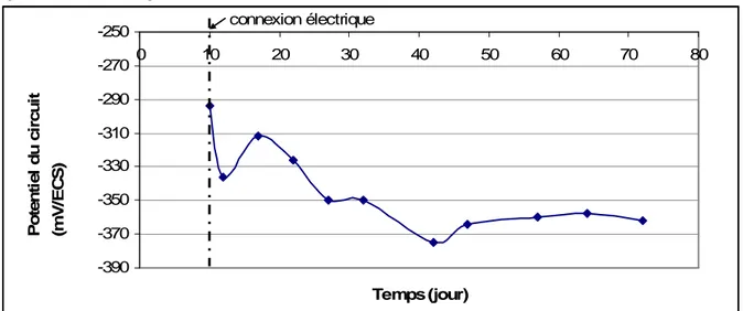 Figure II- 46 : Evolution du potentiel du circuit en fonction du temps 