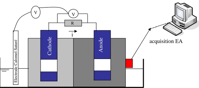 Figure III- 5 : Schéma de montage du suivi électrochimique et par EA 