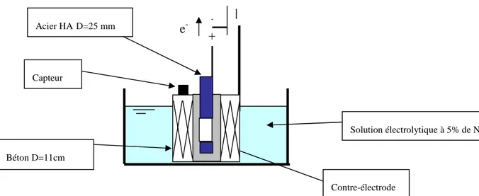 Figure II- 6 : Coupe partielle de principe de la cellule de corrosion 