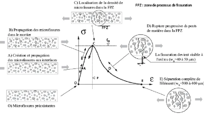 Figure I-13 : Comportement quasi-statique du matériau cimentaire en traction et progression de  la fissuration (Bernard, 2000) 
