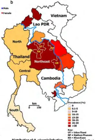 Figure 4 : Taux de prevalence de l’infection à Opisthorchis viverrini en Asie du Sud-Est (Sithithaworn et al