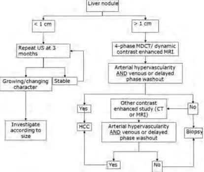 Figure 6 : Algorithme de diagnostic du CHC (extrait de (Bruix and Sherman 2011). (CT= Tomodensitométrie,  MDCT= Tomodensitomètre multidétecteur, MRI= Image par Résonance Magnétique, US= Ultrasonographie)  