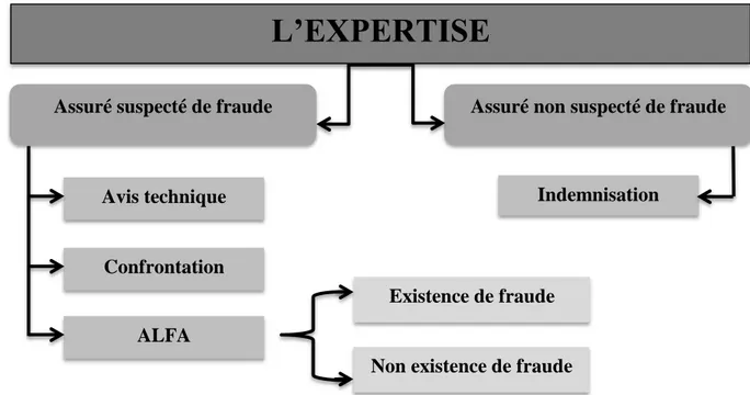 Figure N°04: Les étapes de détection de fraude 